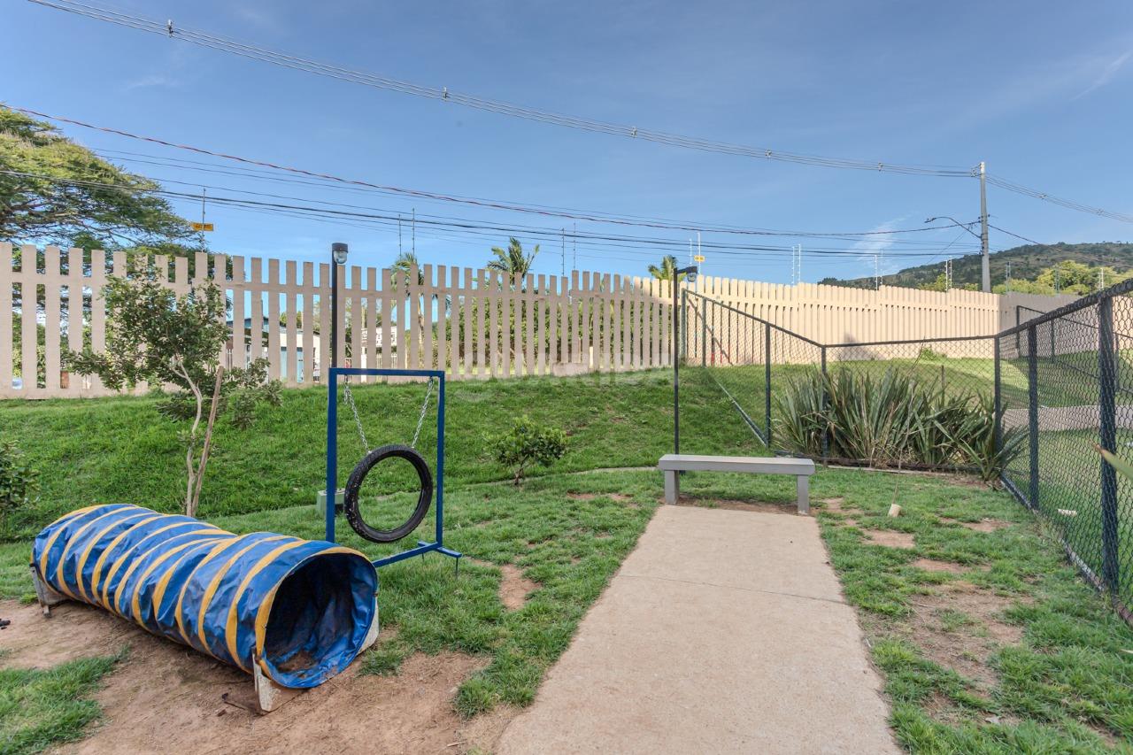 Apartamento para alugar em Estrada Cristiano Kraemer, 2021 - foto 20