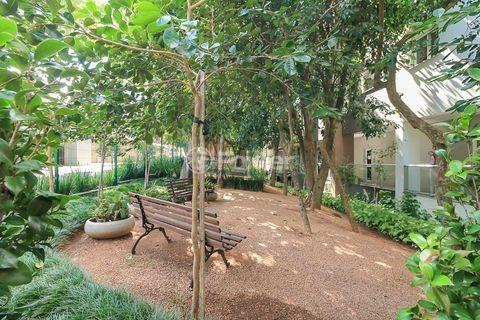 Apartamento para alugar em Rua Joaquim Cruz, 300 - foto 27