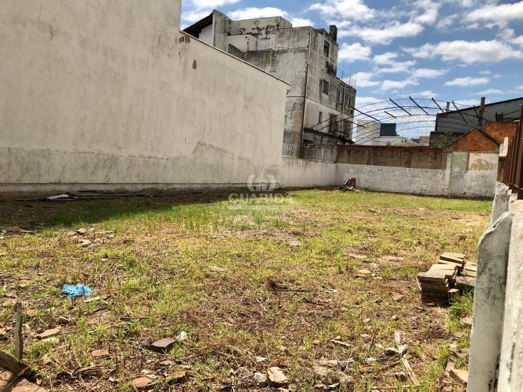terreno lote para alugar em Avenida Pará, 784 - foto 6