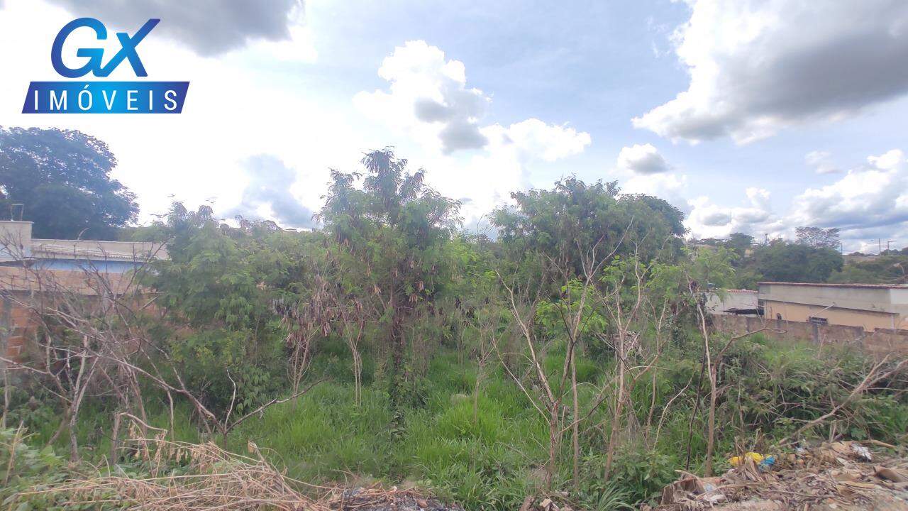Terreno, 1000 m² - Foto 13