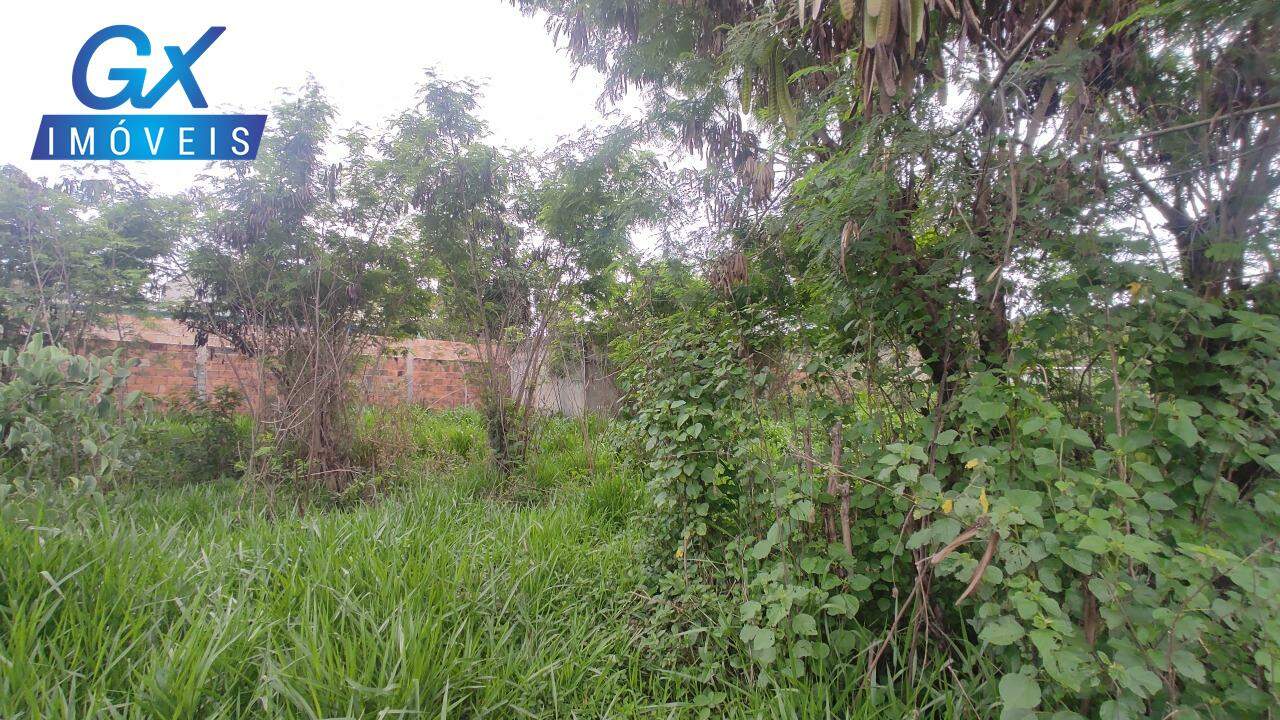 Terreno, 1000 m² - Foto 6