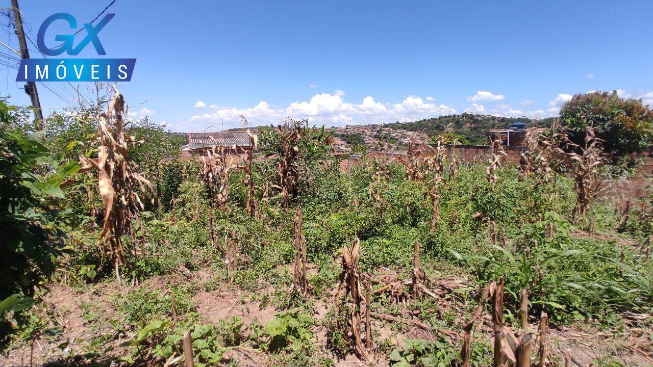 Terreno à venda, 200m² - Foto 7