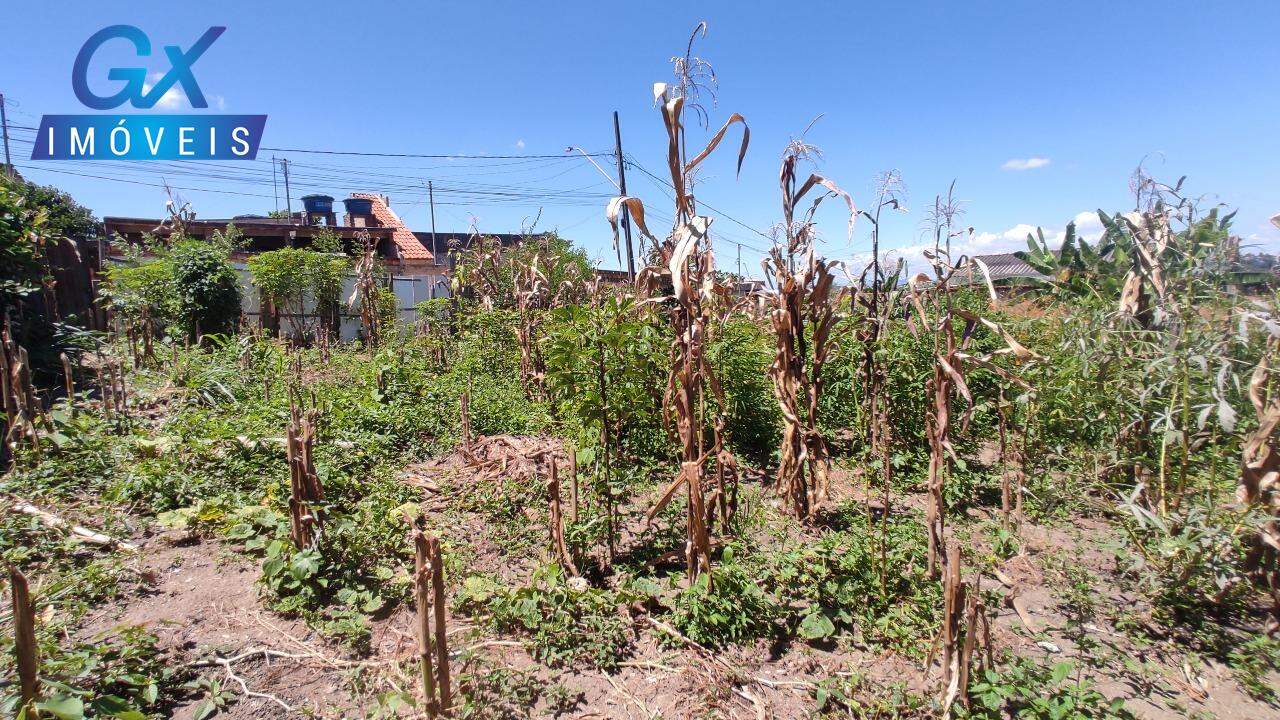 Terreno à venda, 200m² - Foto 5