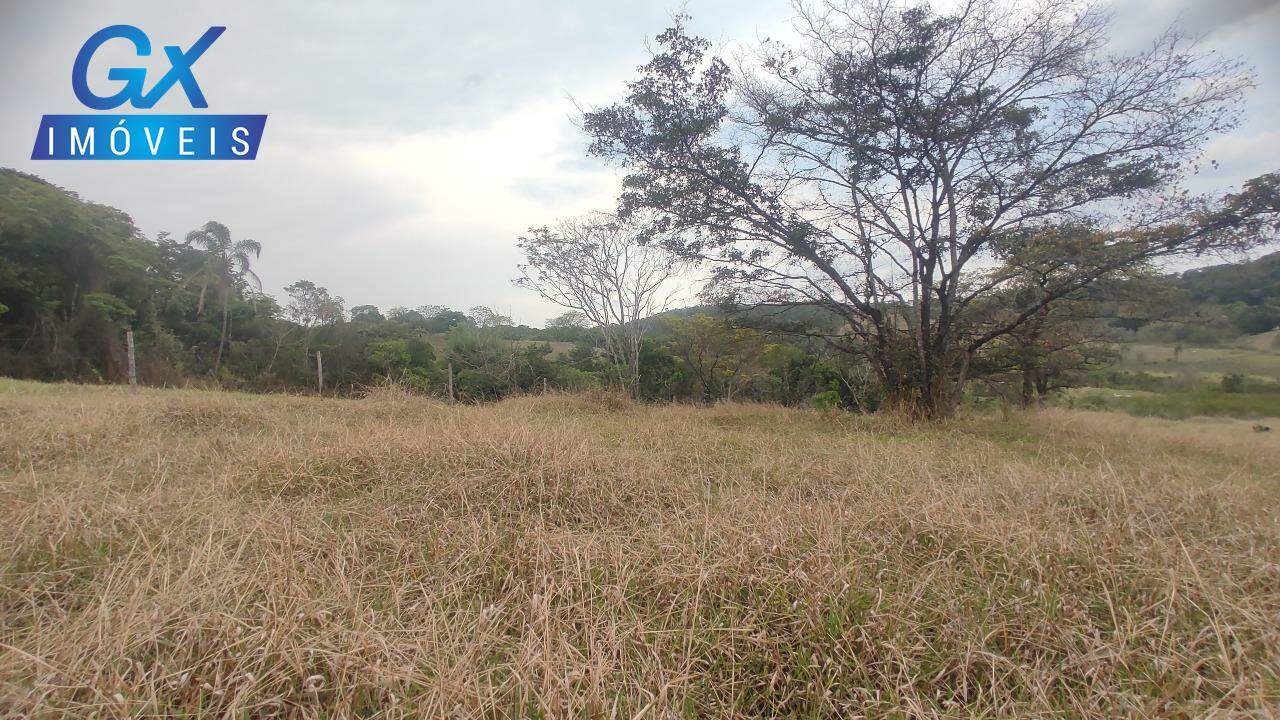 Sítio, 8237 m² - Foto 8