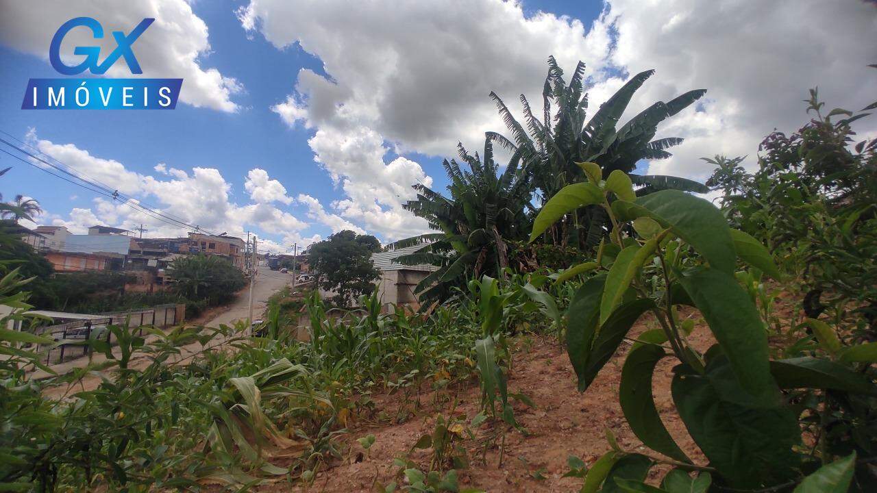 Terreno, 392 m² - Foto 5