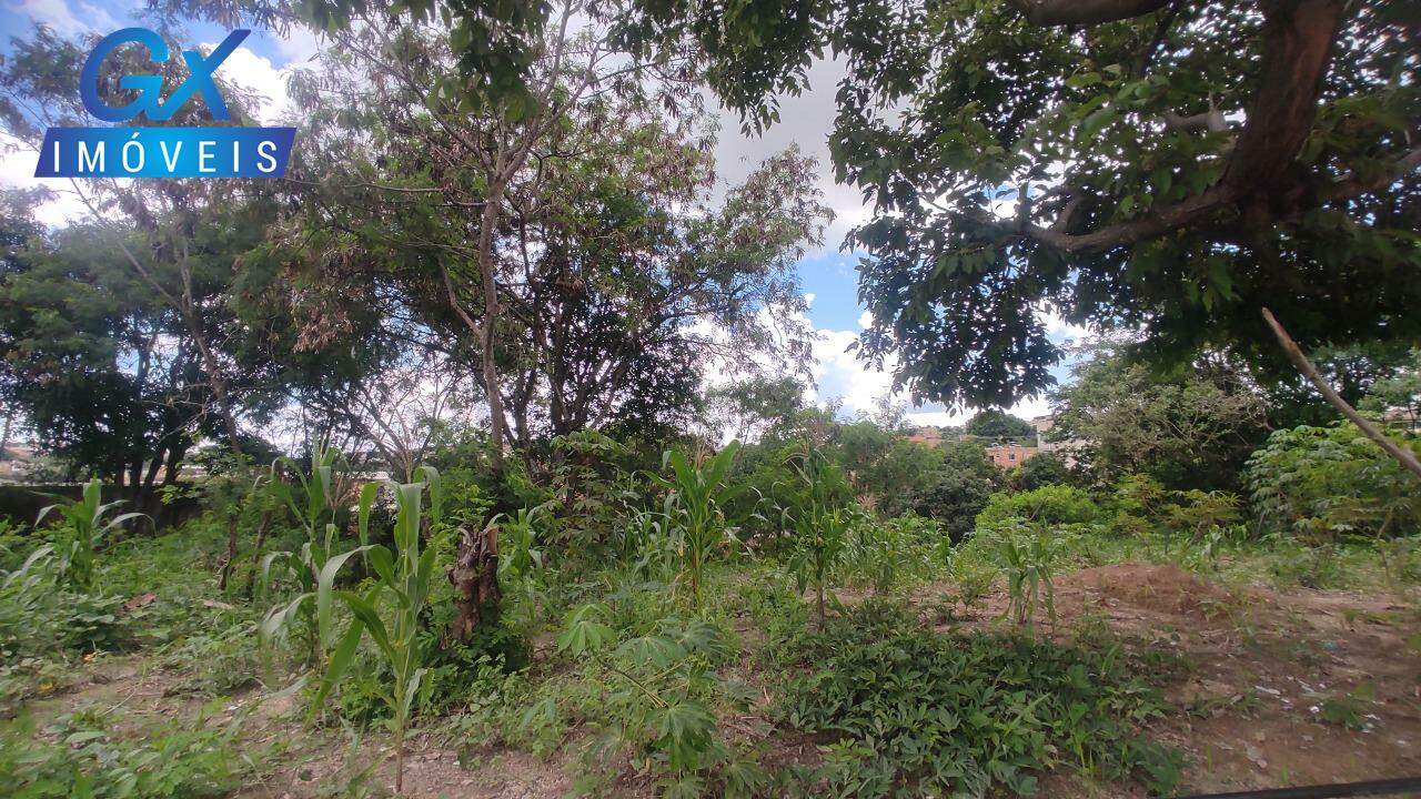 Terreno, 527 m² - Foto 7