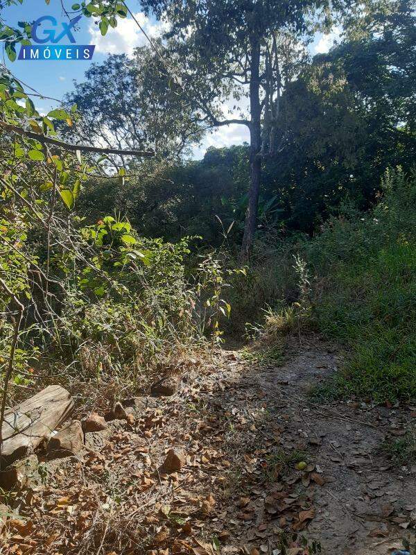 Terreno, 7000 m² - Foto 14