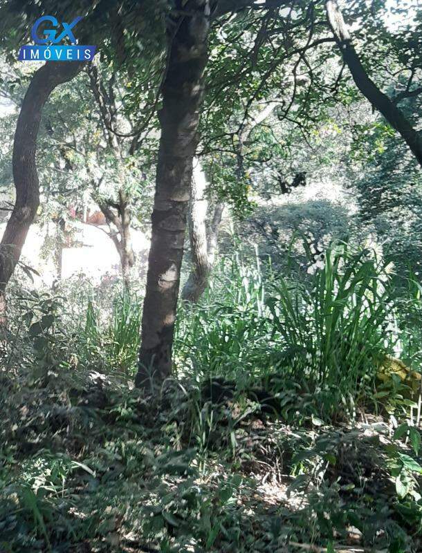 Terreno, 7000 m² - Foto 15