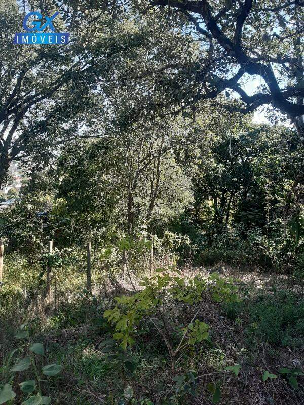 Terreno, 7000 m² - Foto 6