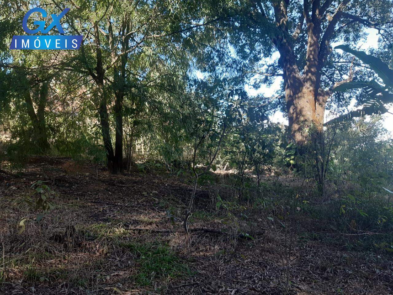 Terreno, 7000 m² - Foto 5
