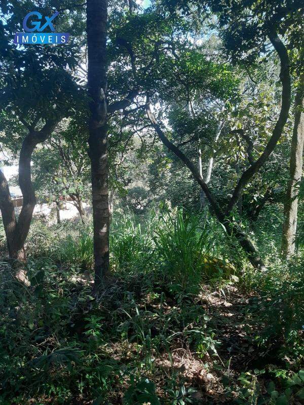 Terreno, 7000 m² - Foto 16