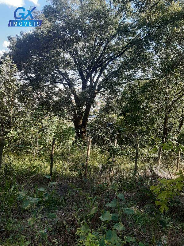 Terreno, 7000 m² - Foto 8