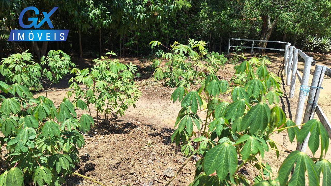 Fazenda à venda com 3 quartos, 190m² - Foto 18