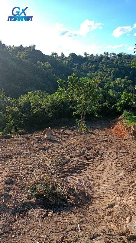 Terreno à venda no bairro Ipe Amarelo: 