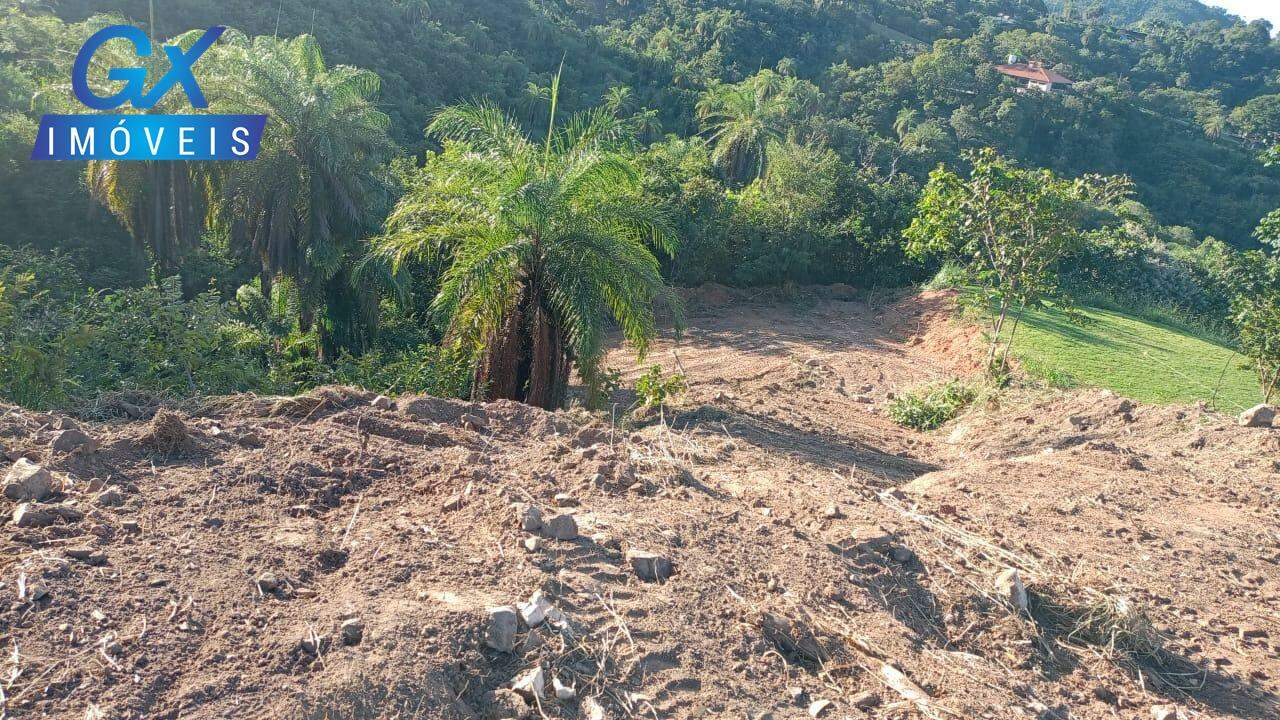 Terreno à venda no bairro Ipe Amarelo: 