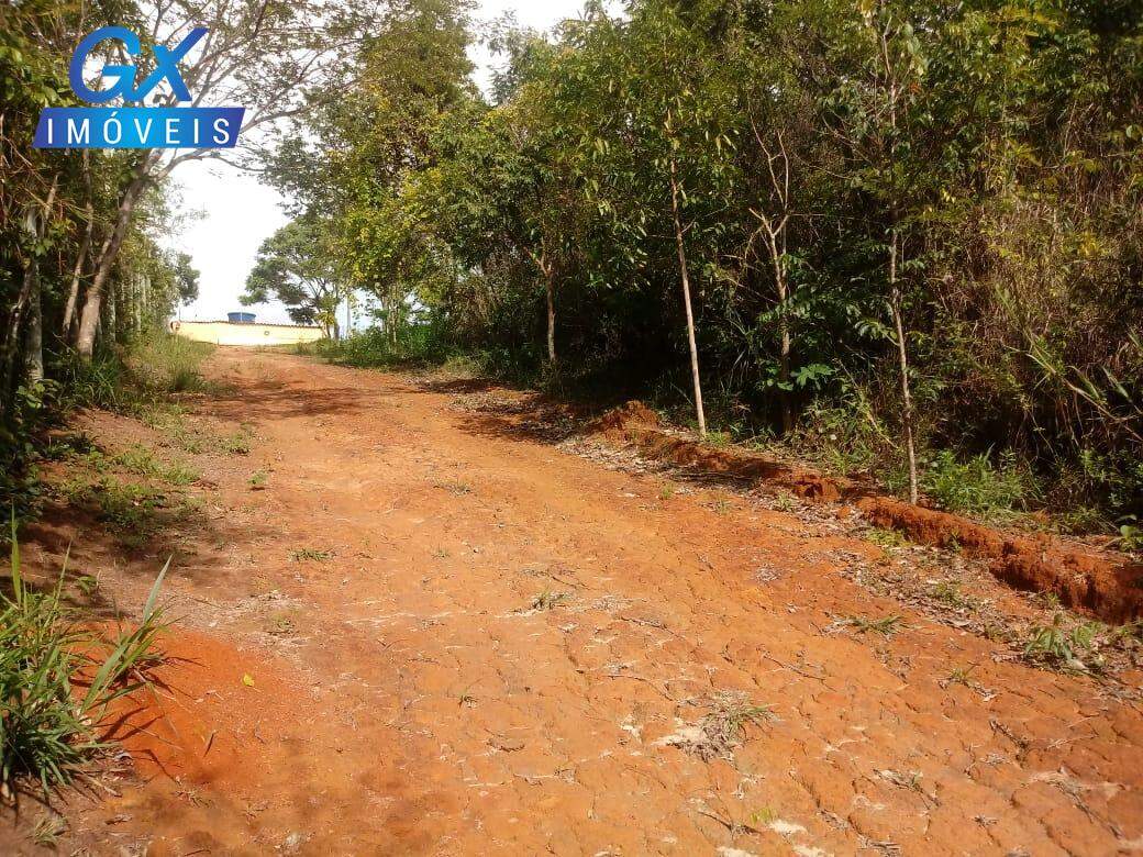 Fazenda à venda com 2 quartos - Foto 4