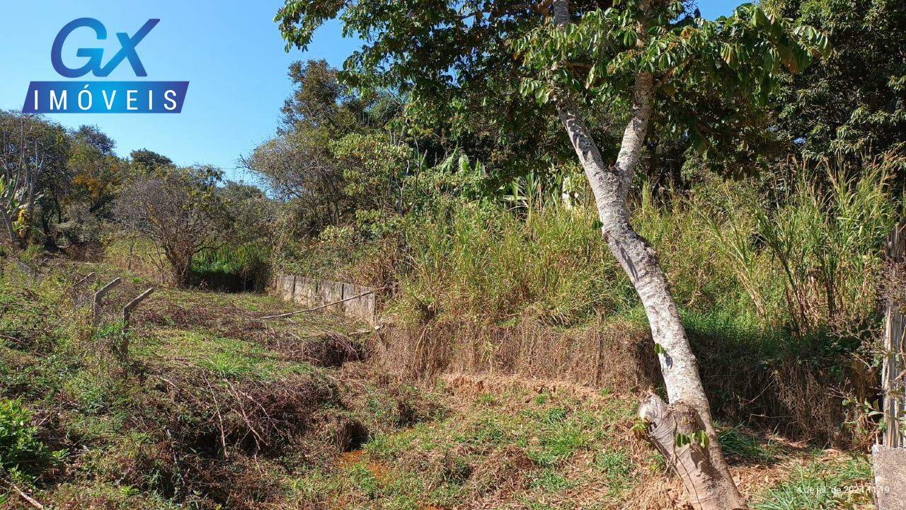 Fazenda à venda - Foto 6