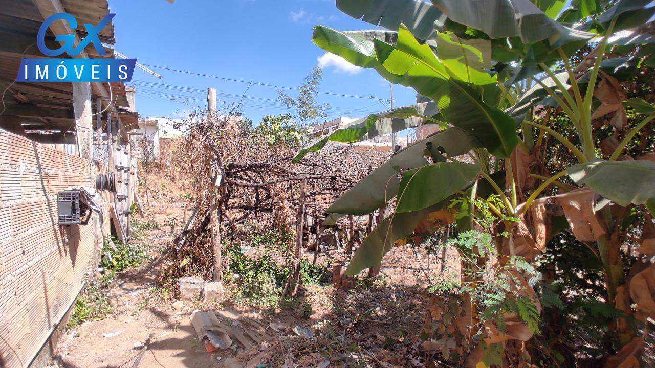 Terreno, 250 m² - Foto 9