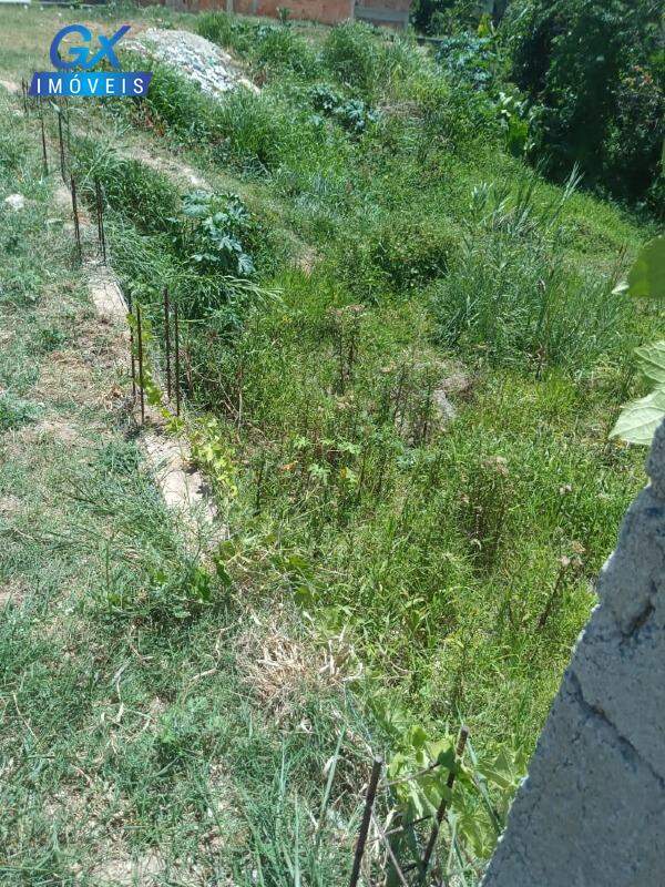Terreno, 382 m² - Foto 7