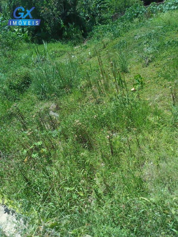 Terreno, 382 m² - Foto 5