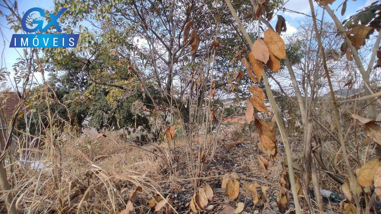 Terreno, 500 m² - Foto 11