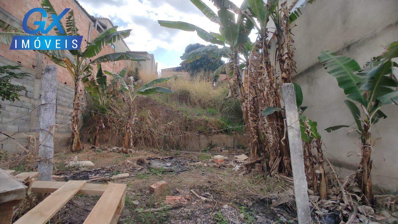 Terreno, 250 m² - Foto 5