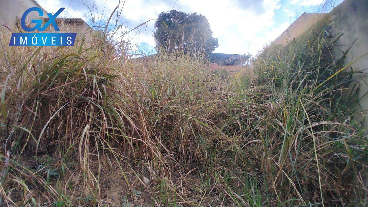 Terreno, 250 m² - Foto 14