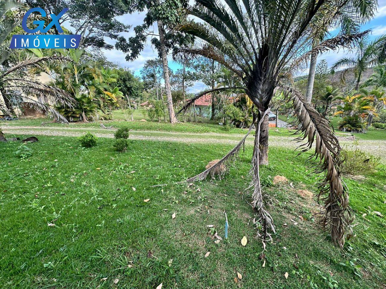 Chácara, 1 quarto, 5000 m² - Foto 15