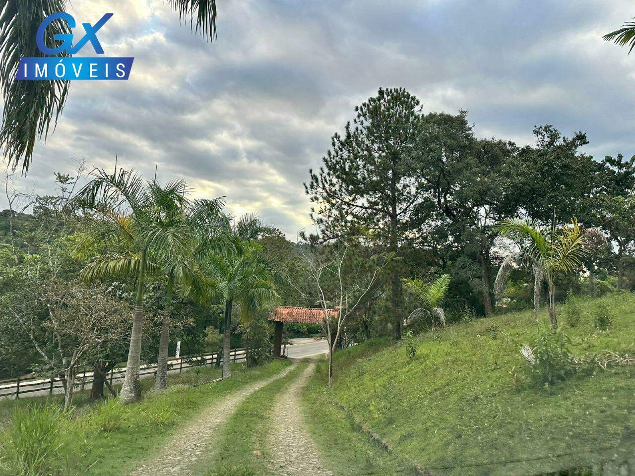 Chácara, 1 quarto, 5000 m² - Foto 9