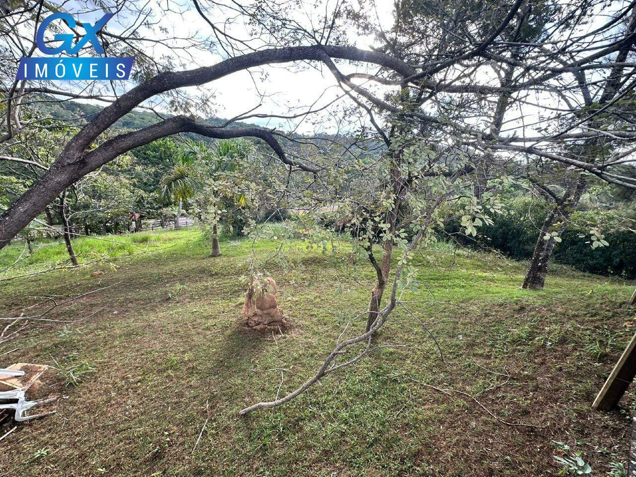 Chácara, 1 quarto, 5000 m² - Foto 8