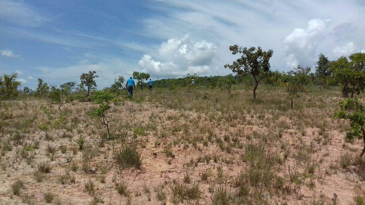 Terreno à venda, 1000m² - Foto 15