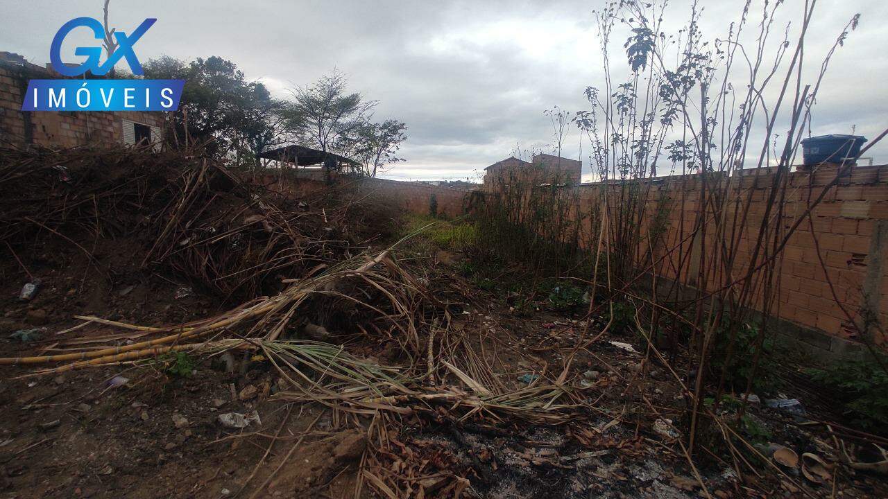 Terreno, 376 m² - Foto 7