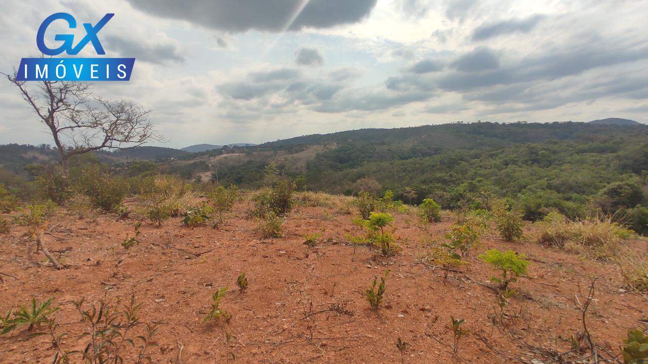 Sítio, 4 hectares - Foto 8
