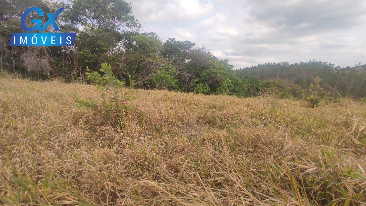 Sítio, 4 hectares - Foto 19