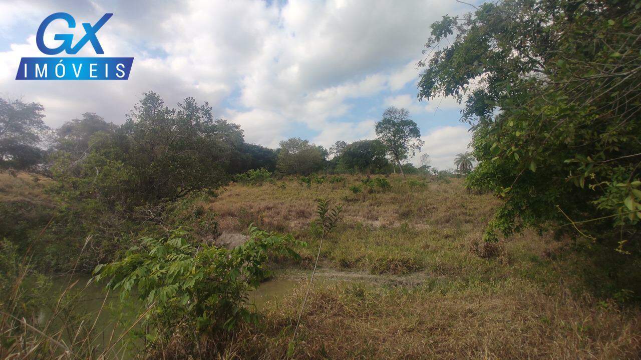 Sítio, 4 hectares - Foto 15