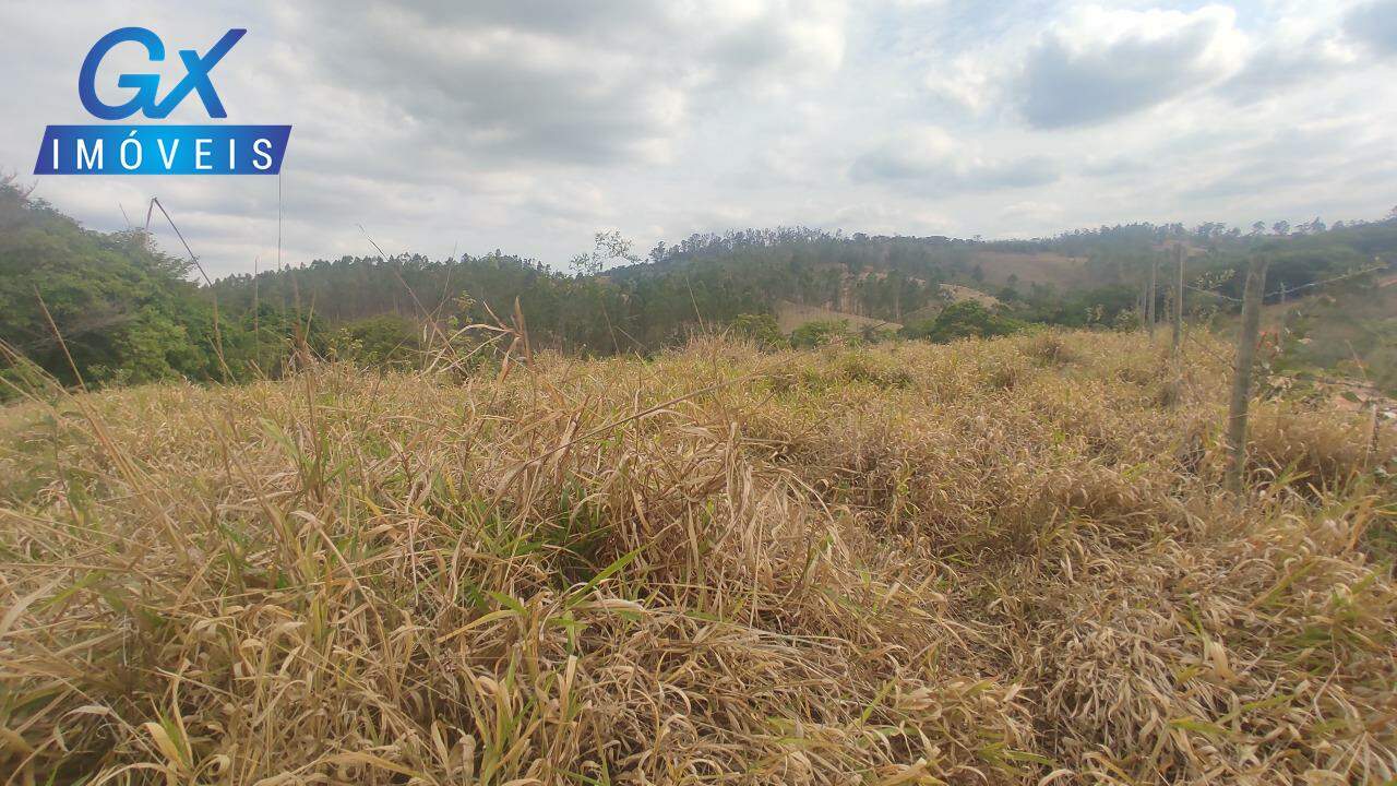 Sítio, 4 hectares - Foto 18