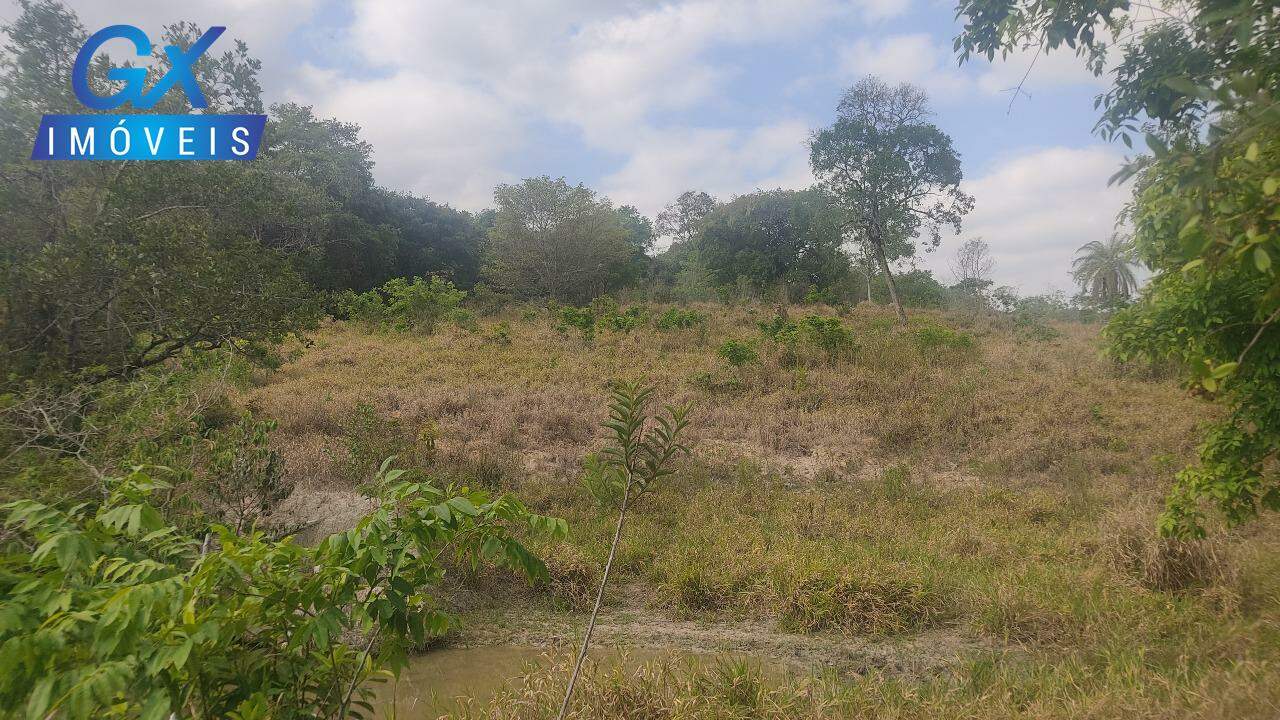 Sítio, 4 hectares - Foto 14