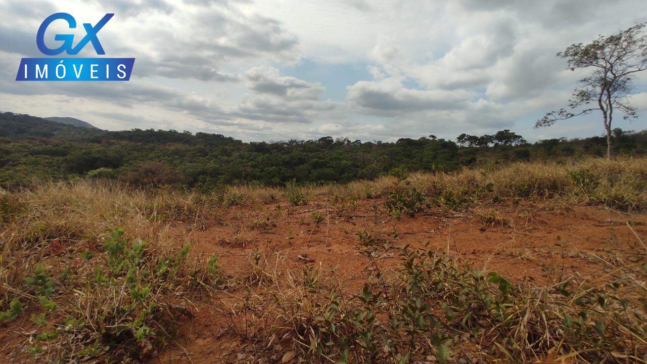 Sítio, 4 hectares - Foto 11