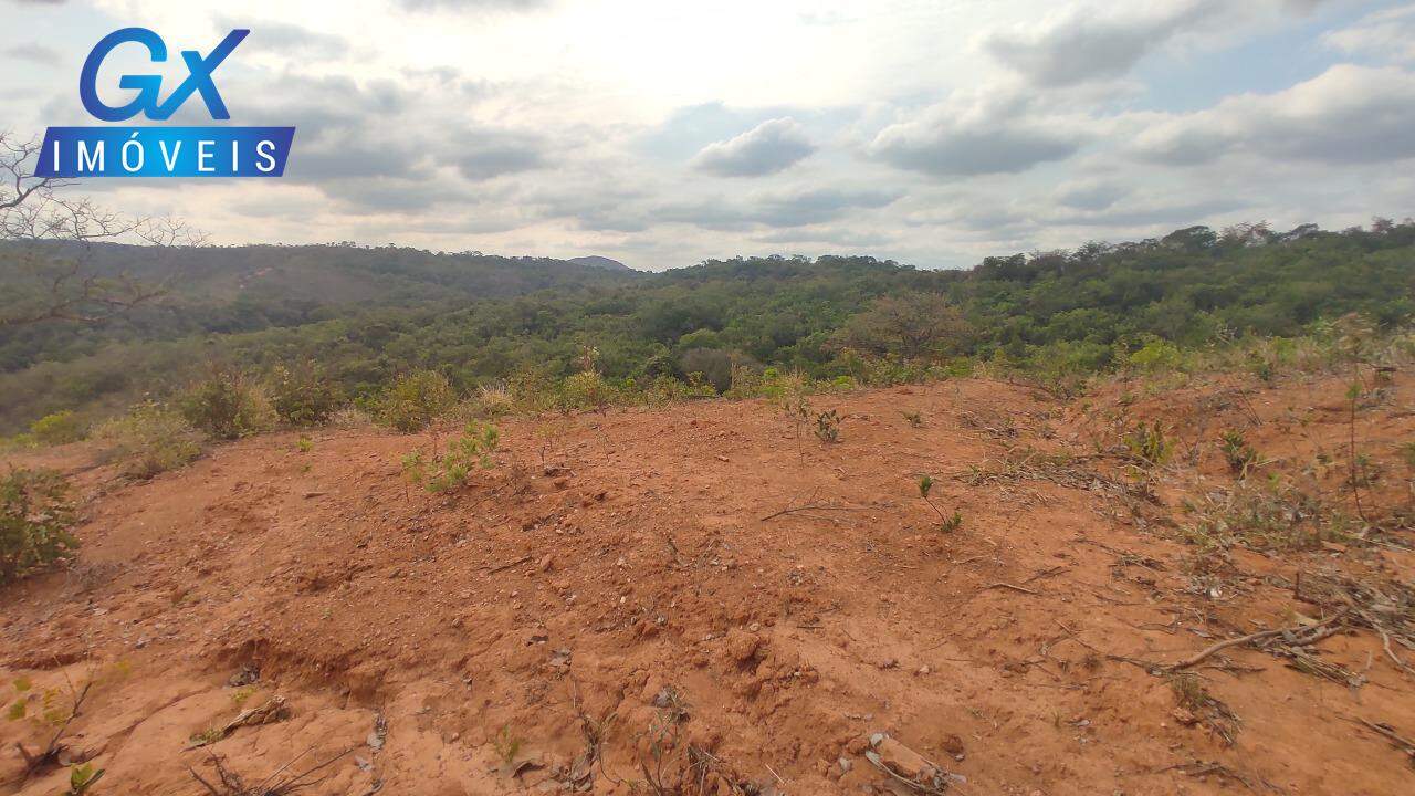Sítio, 4 hectares - Foto 13