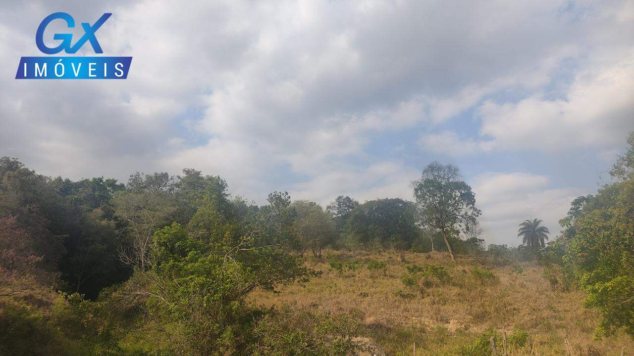 Sítio, 4 hectares - Foto 16