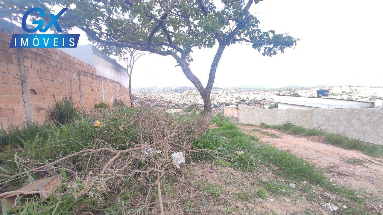 Terreno, 250 m² - Foto 9