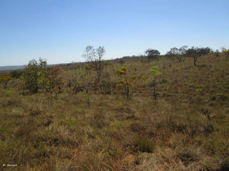 Terreno à venda, 2000m² - Foto 8