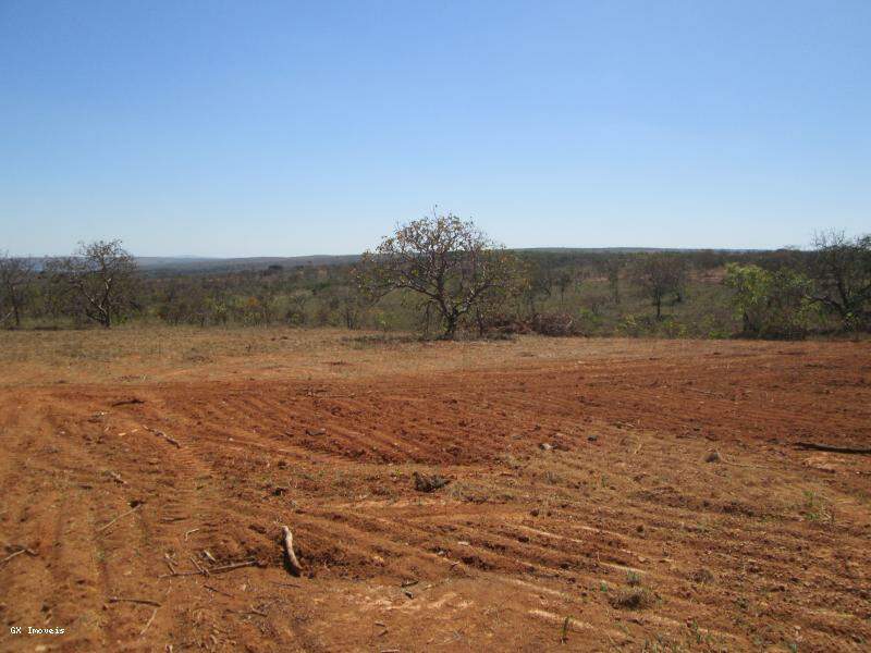 Terreno à venda, 2000m² - Foto 7