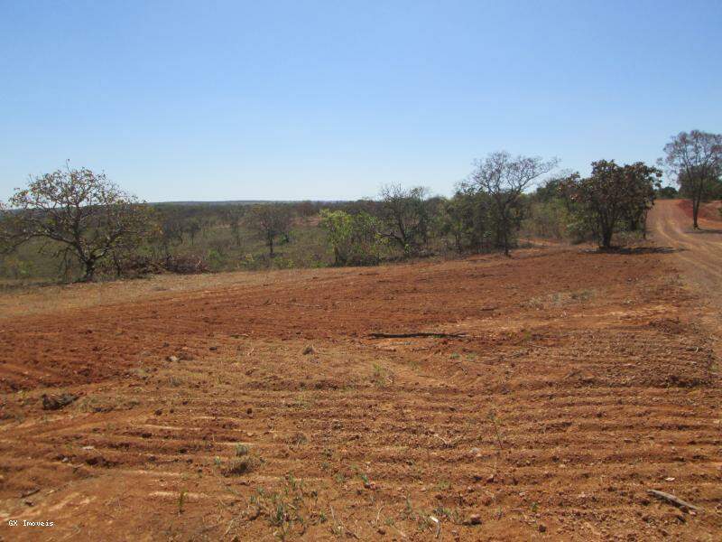 Terreno à venda, 2000m² - Foto 6