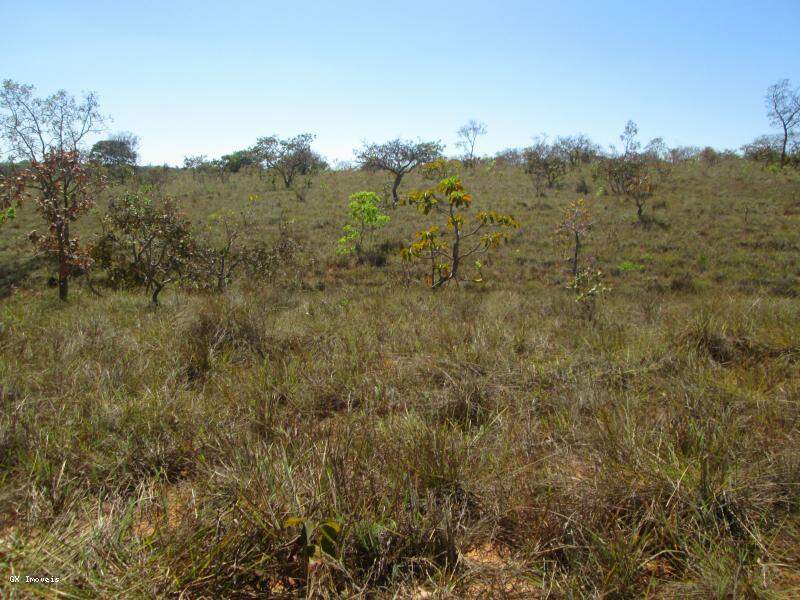 Terreno à venda, 2000m² - Foto 10