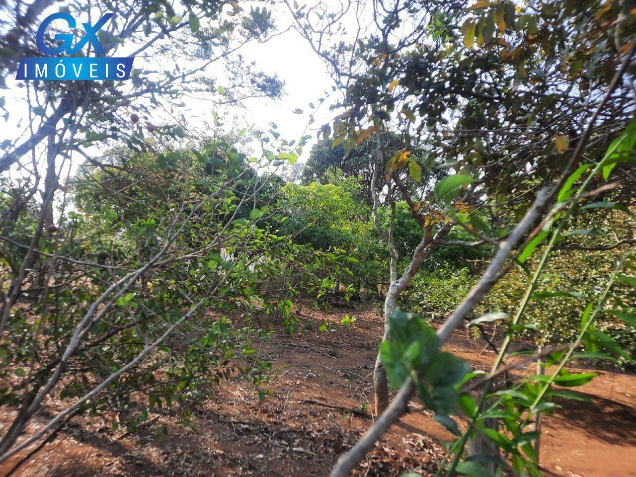 Terreno, 360 m² - Foto 6