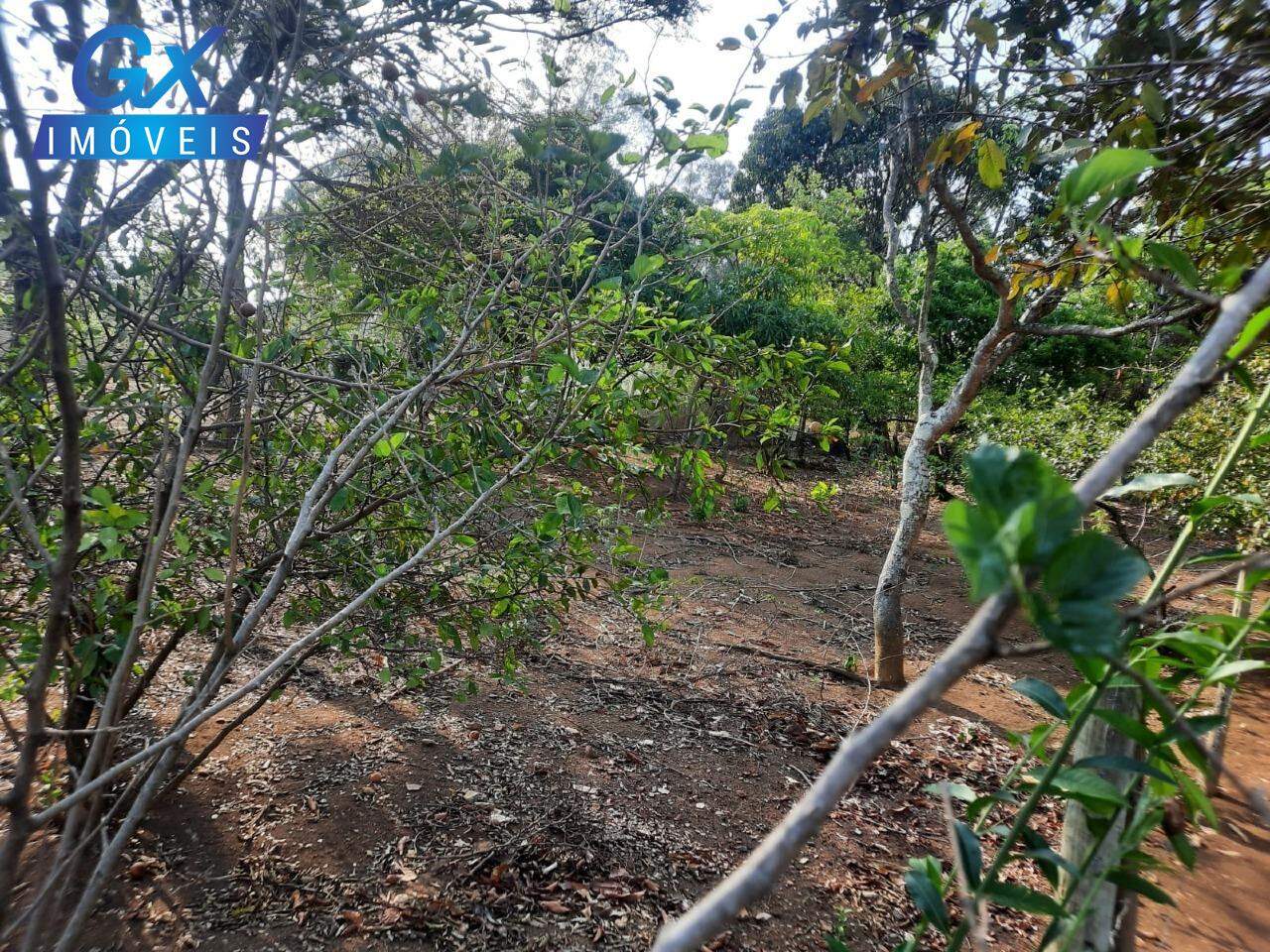 Terreno, 360 m² - Foto 12