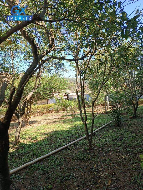 Sítio, 4 quartos, 1800 m² - Foto 3