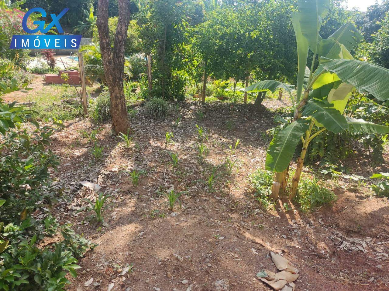 Sítio, 3 quartos, 1000 m² - Foto 4