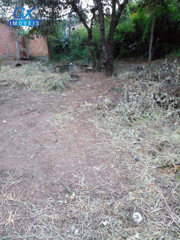 Terreno, 382 m² - Foto 3